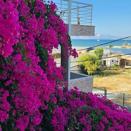 Begonvil Otel Çeşme Dış mekan fotoğraf